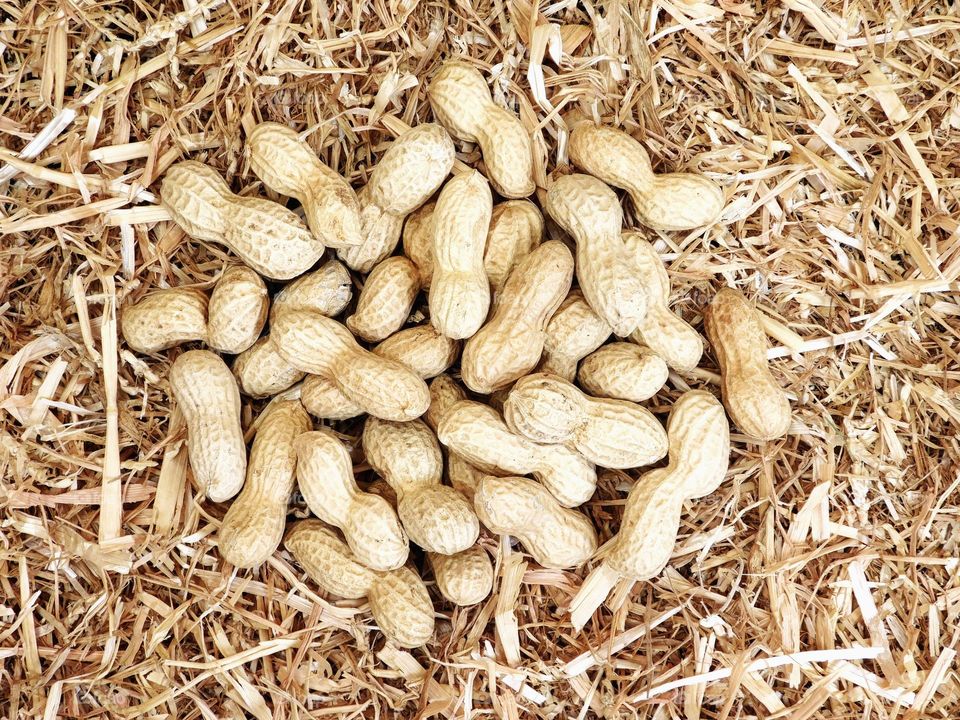 peanuts