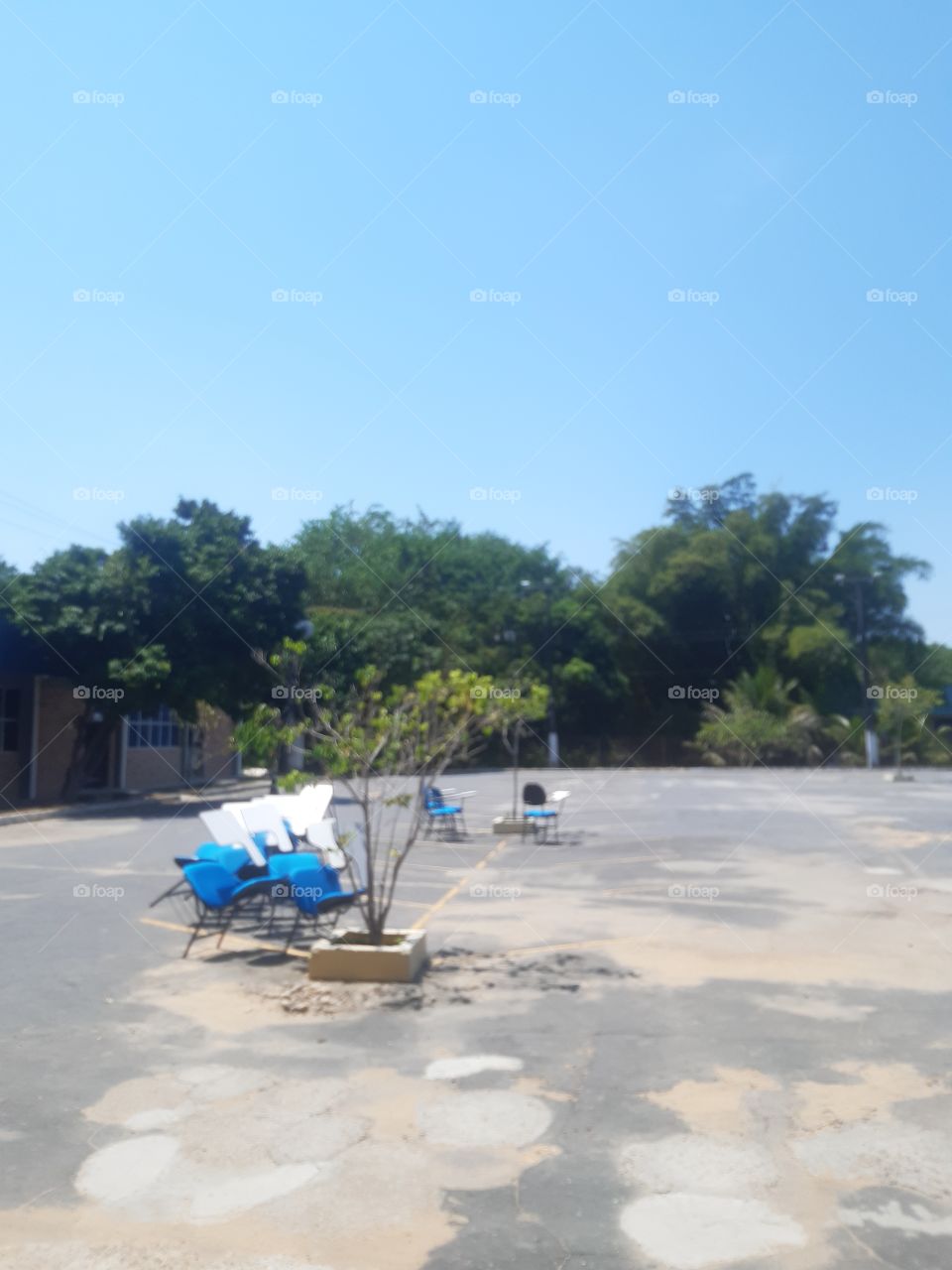 viva em harmonia com as leis da natureza e nunca será podre.