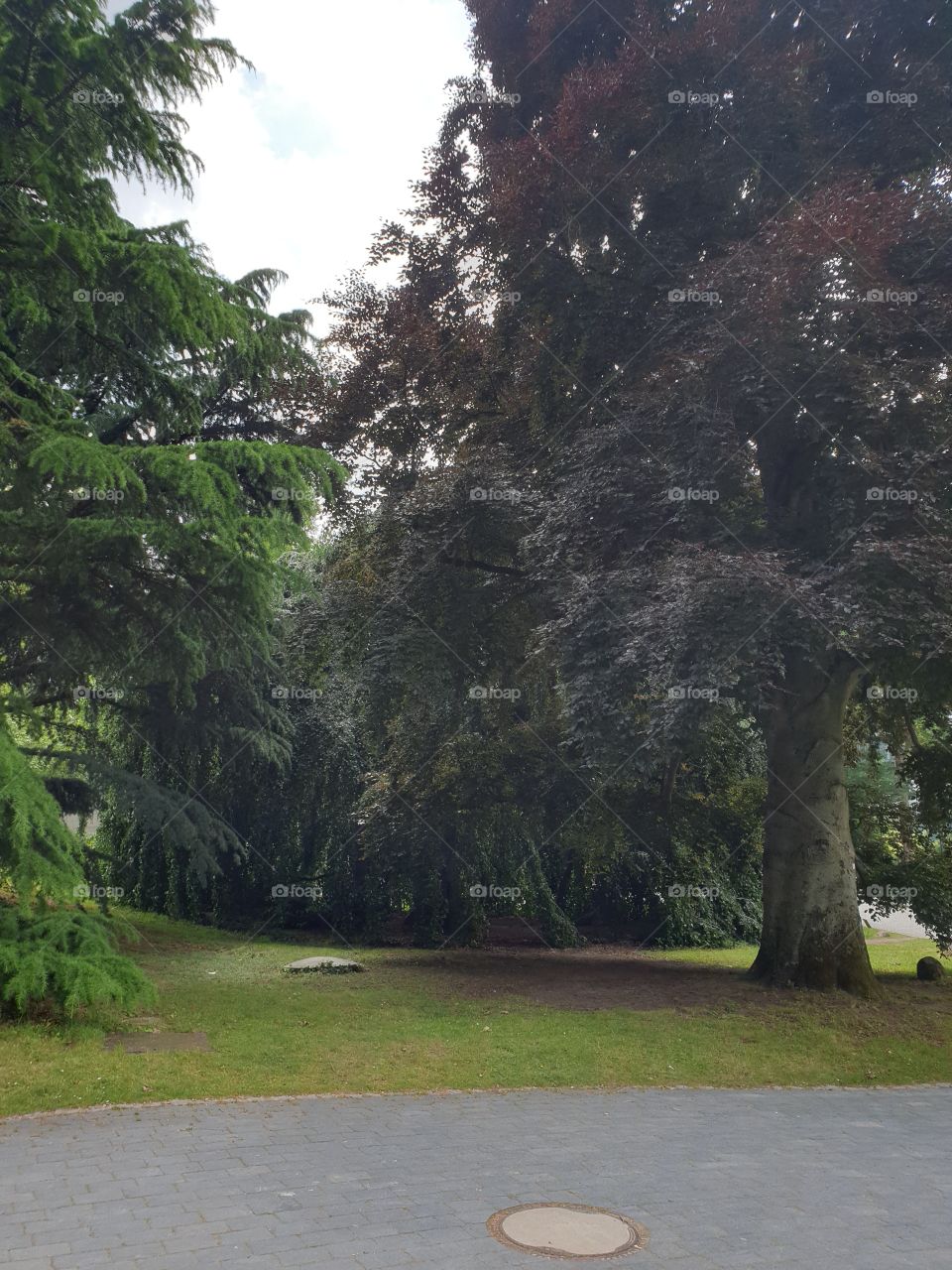 Palmengarten Frankfurt