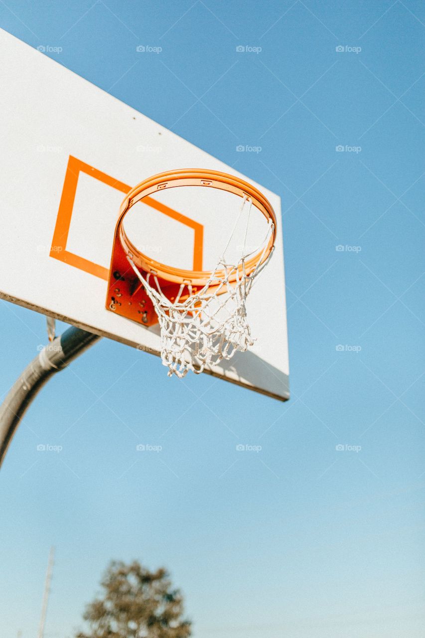basketball ball hoop