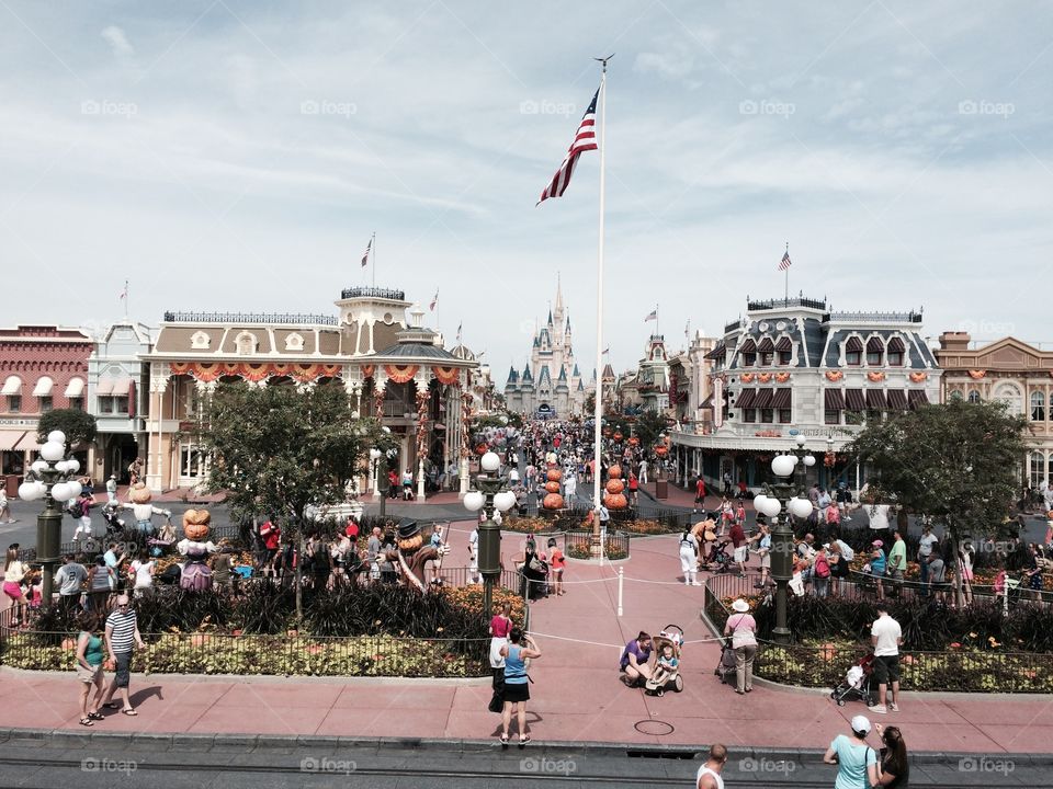 Disney world