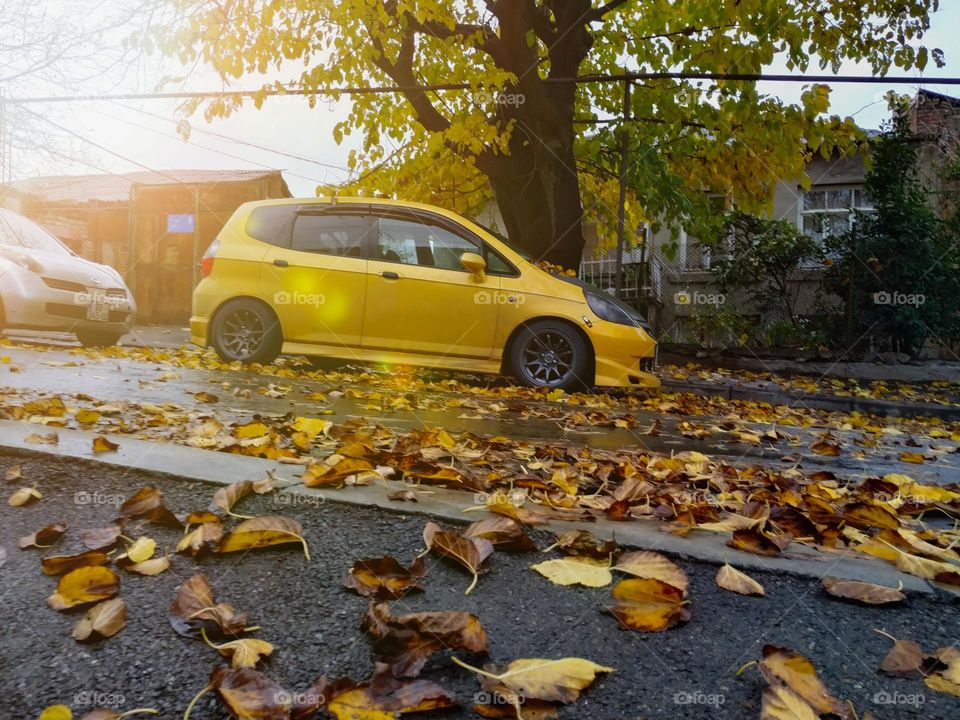 A yellow car on the street against the background of autumn leaves