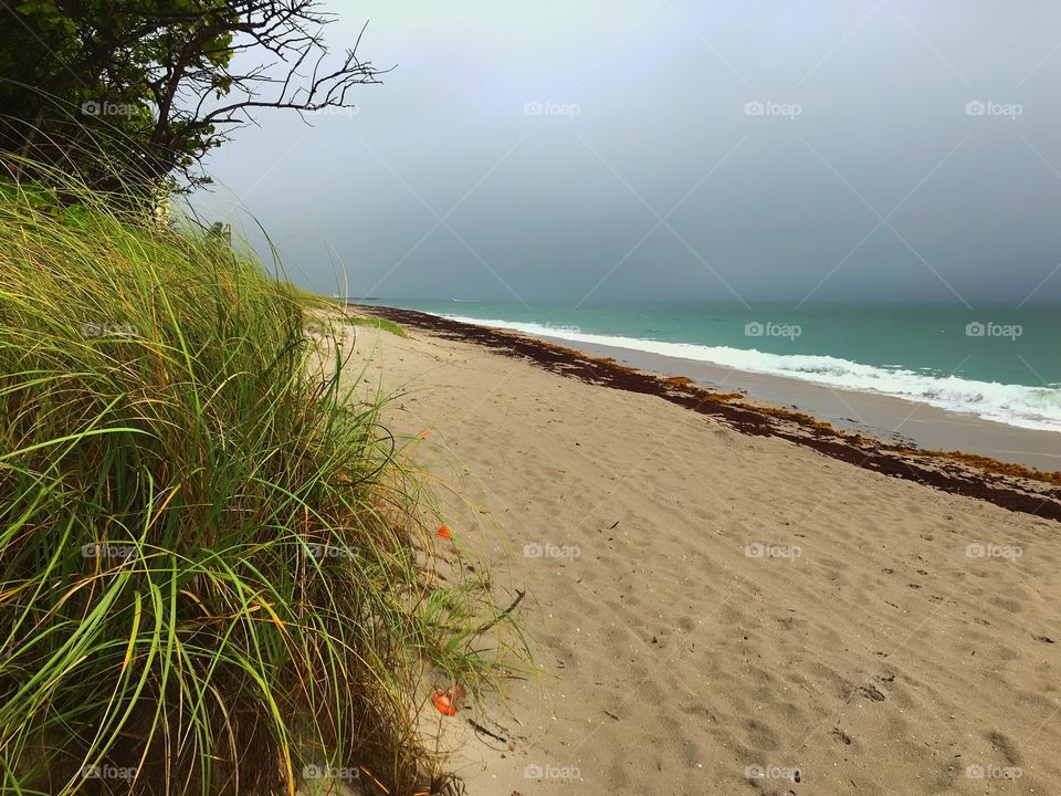 Jupiter beach