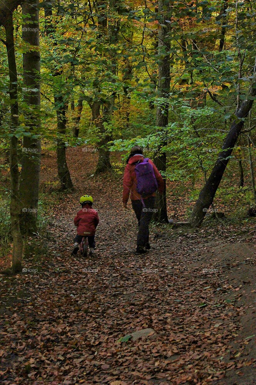 Wood, Fall, Leaf, Tree, People