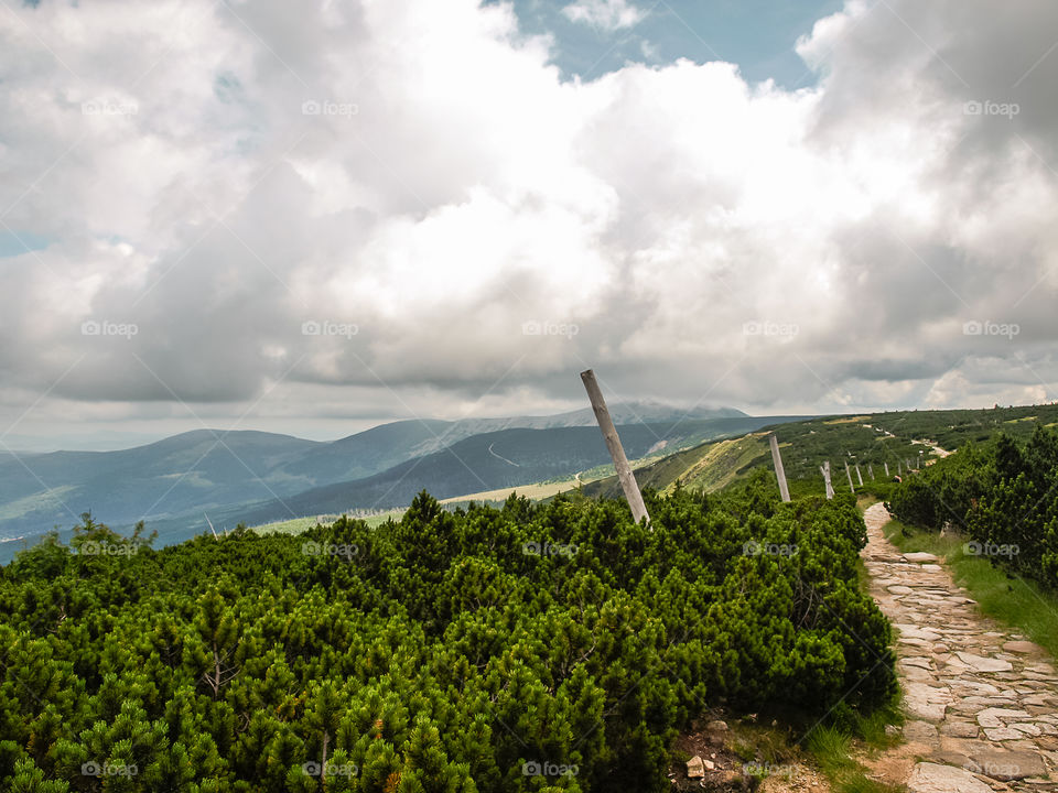 High angle view of nature