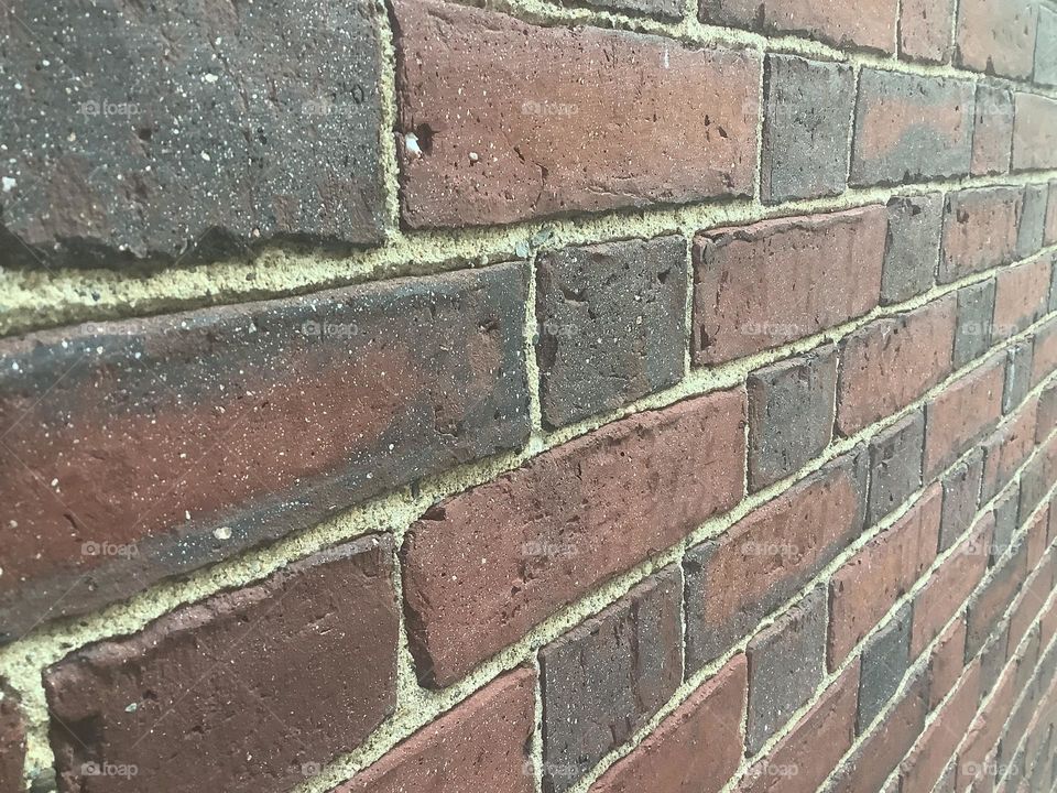 What isn’t interesting about the perspective, contrast, color and strength of this brick wall? I have to wonder how many years it has lived here. What would it say if it could tell us all it has seen?