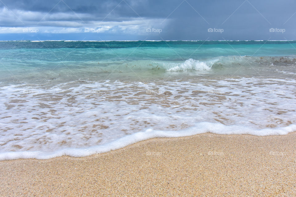 natural landscape at the beach