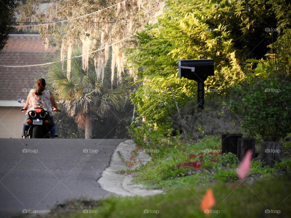 Commuting: motorcycle motorist woman seen from behind driving up a small hill traveling on the quiet street road with trees and plants around at sunset in the evening.