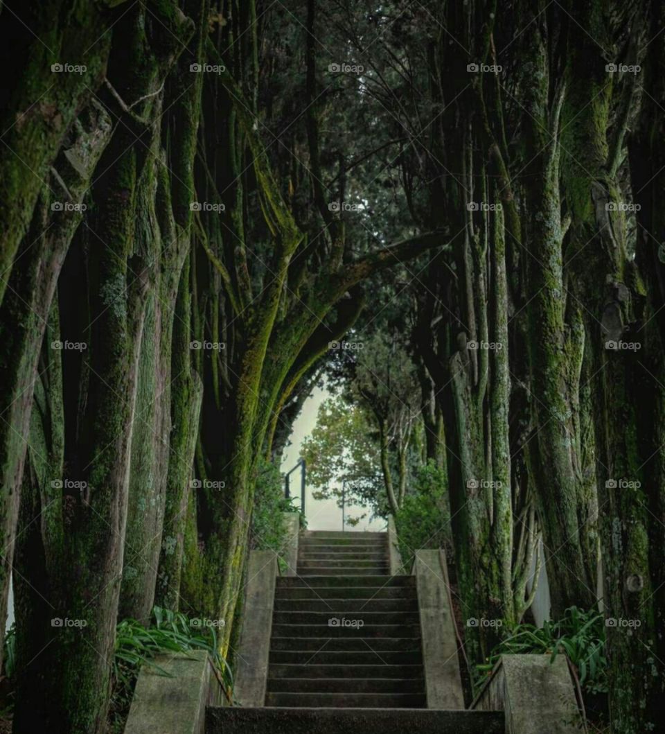 Only 178 steps up the mystic alley and you reach the top of Miradouro de São Gens, Castelo Branco.