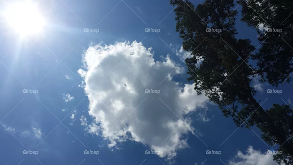 clouds
