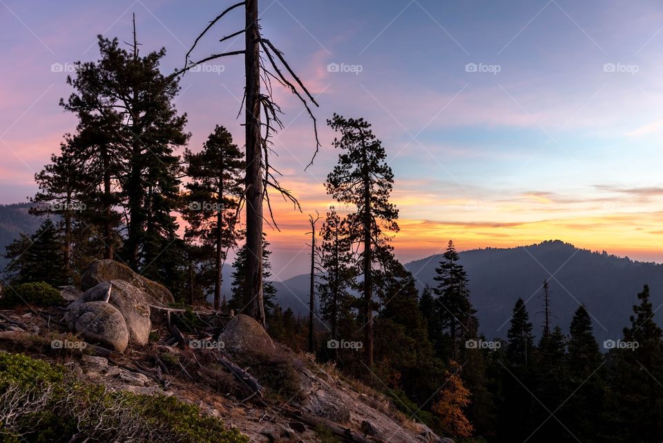 Sequoia National Park Sunset