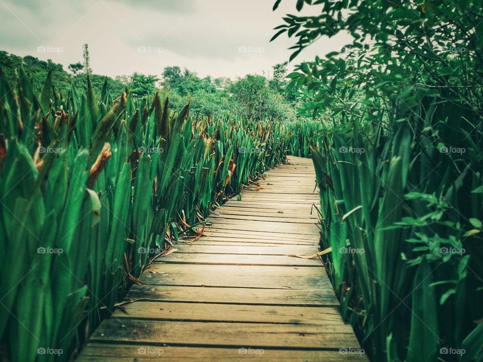 Baddagana water park