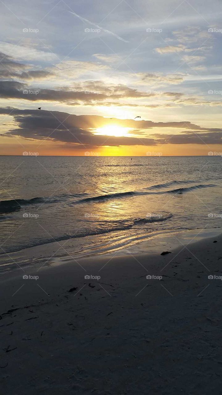 florida ocean sunset