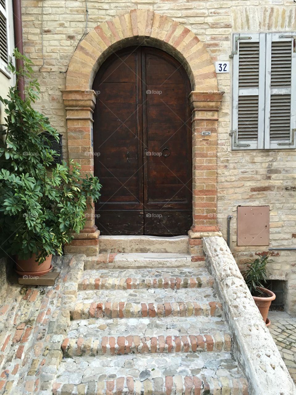 Classic wooden house door