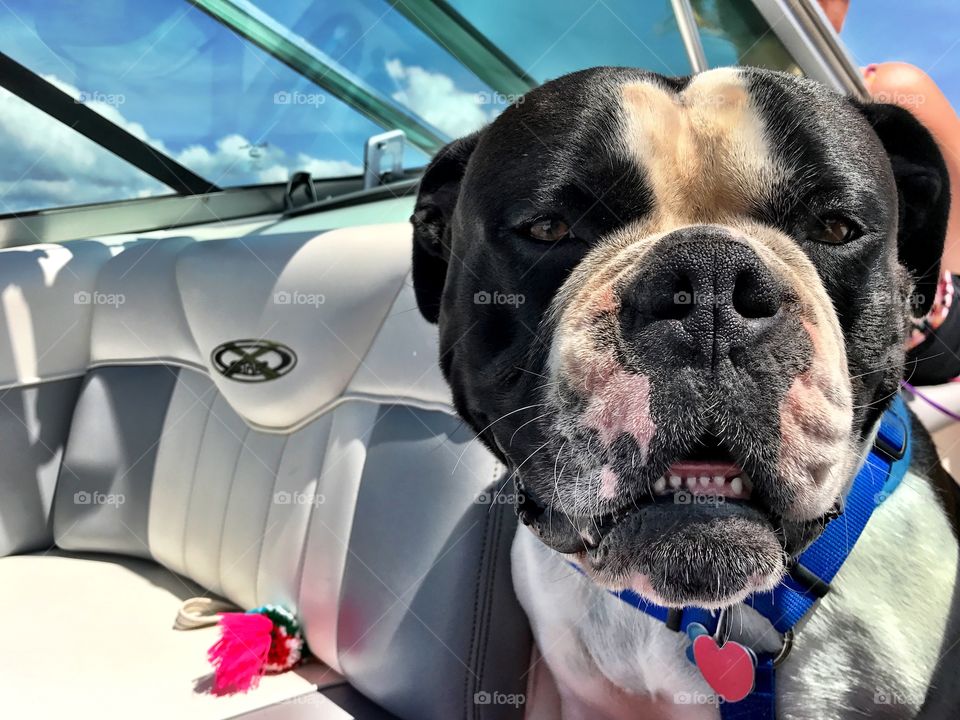 Loving his boat ride