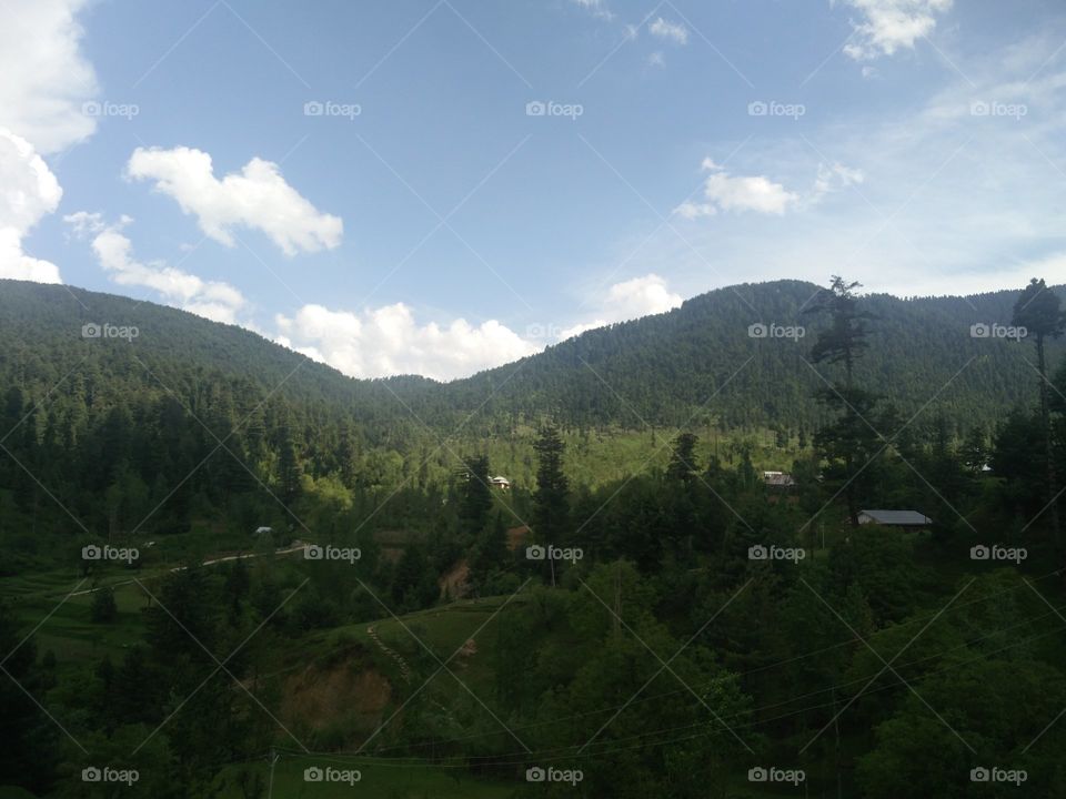 view from up above cool and beautiful view morning greenery and fresh Air amazing photography
📸 Muneeb bhat