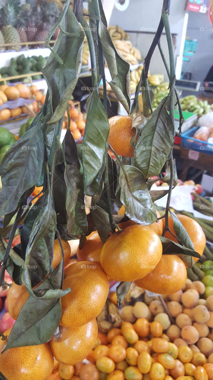 Frutas en el mercado, mandarinas