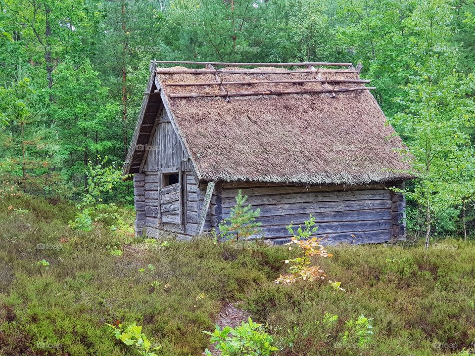 old log cabin