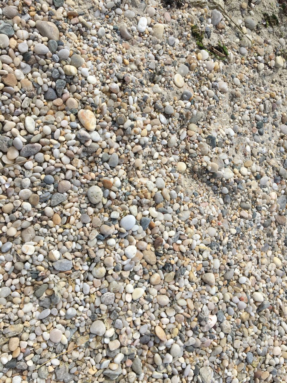Texture on the beach