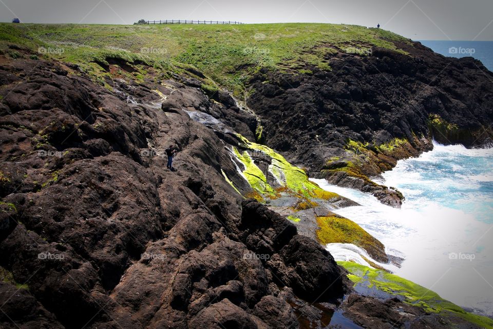 sea meets the land