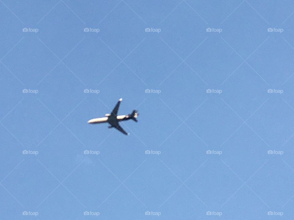 In the high and infinite sky, an airplane flies smoothly over our heads.  Where you go?  Where did it come from? Good trip! No alto e infinito céu, um avião voa tranquilamente sobre nossas cabeças. Para onde vai? De onde veio? Boa viagem!