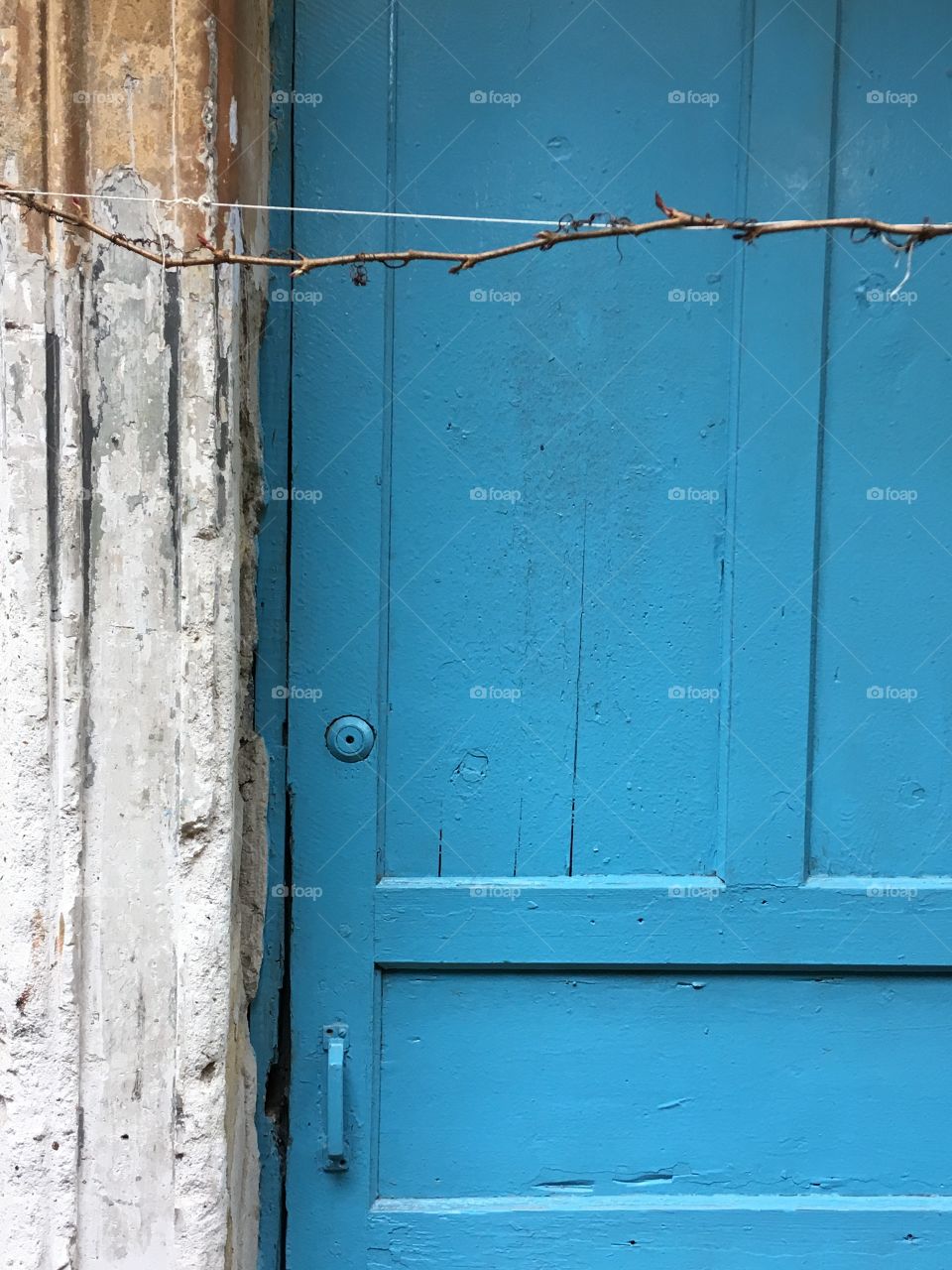 Blue wooden door background. Cement and wooden background. 