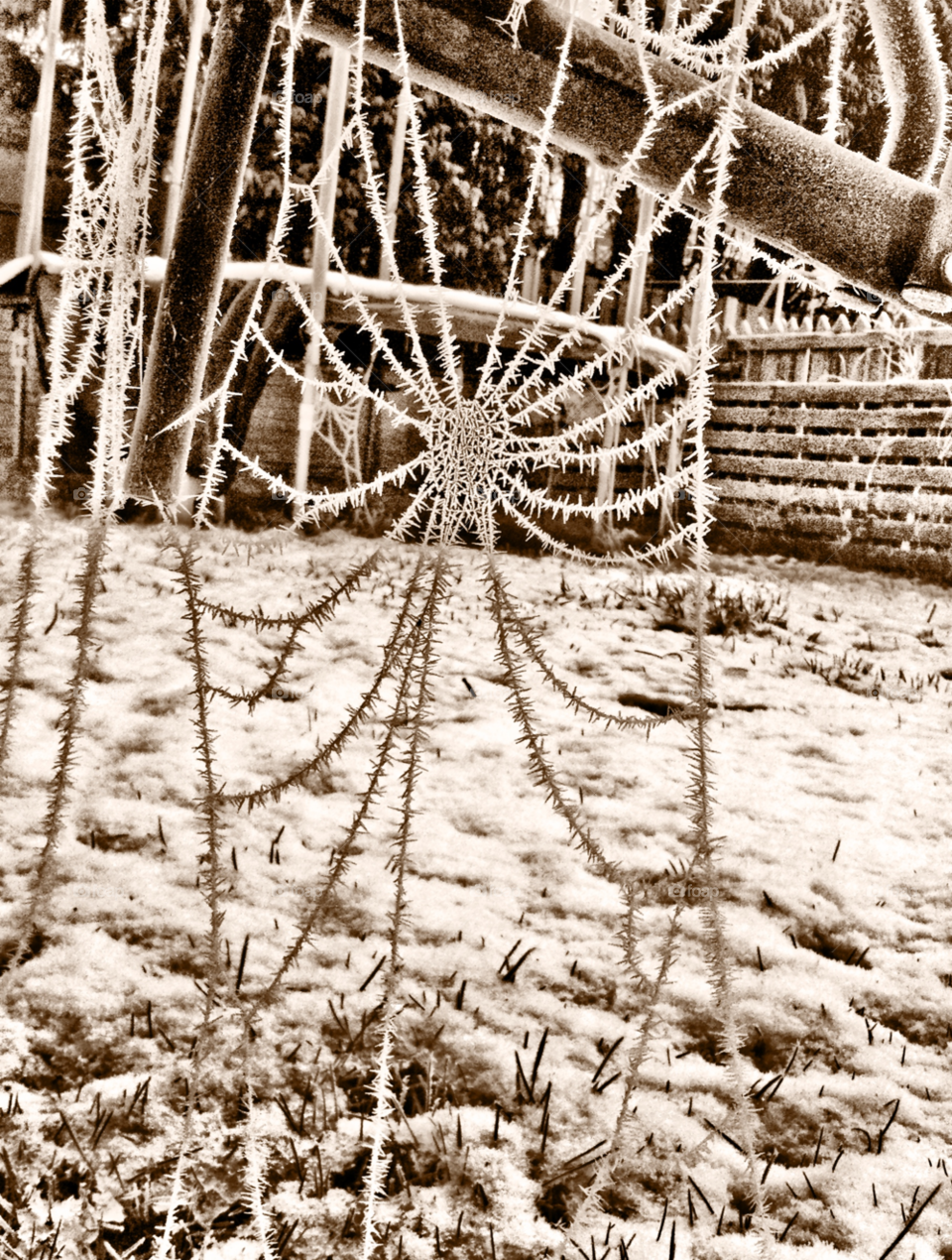 beautiful winter unusual icicles by binkyboo