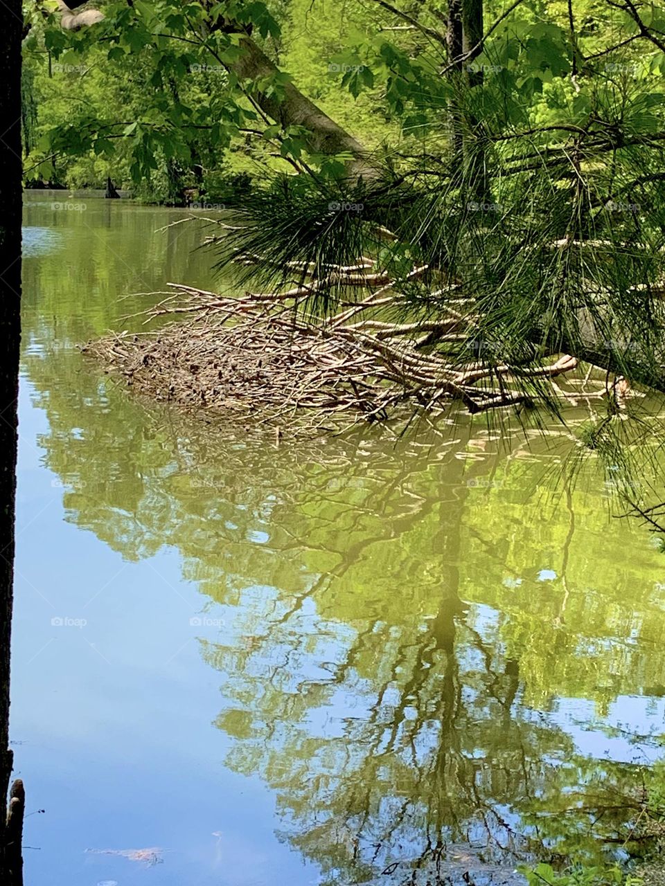 Reflecting pool