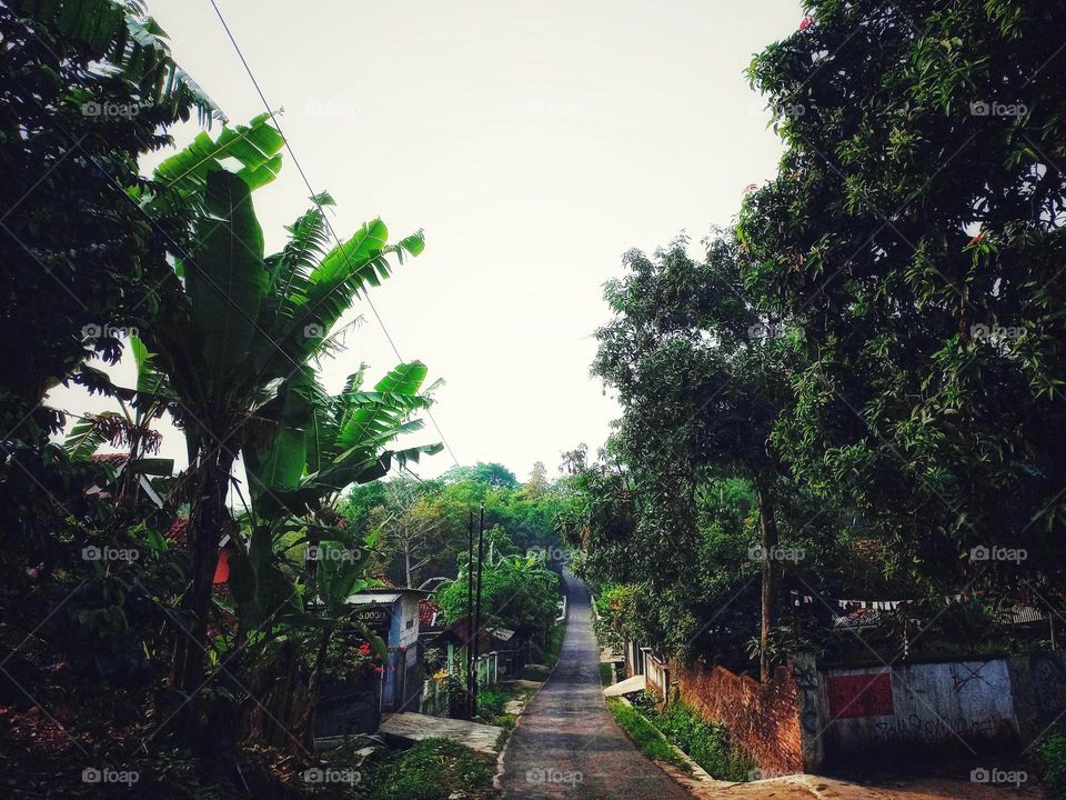 High and low road decorated with trees