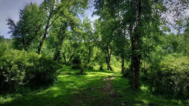 Green is very relax 