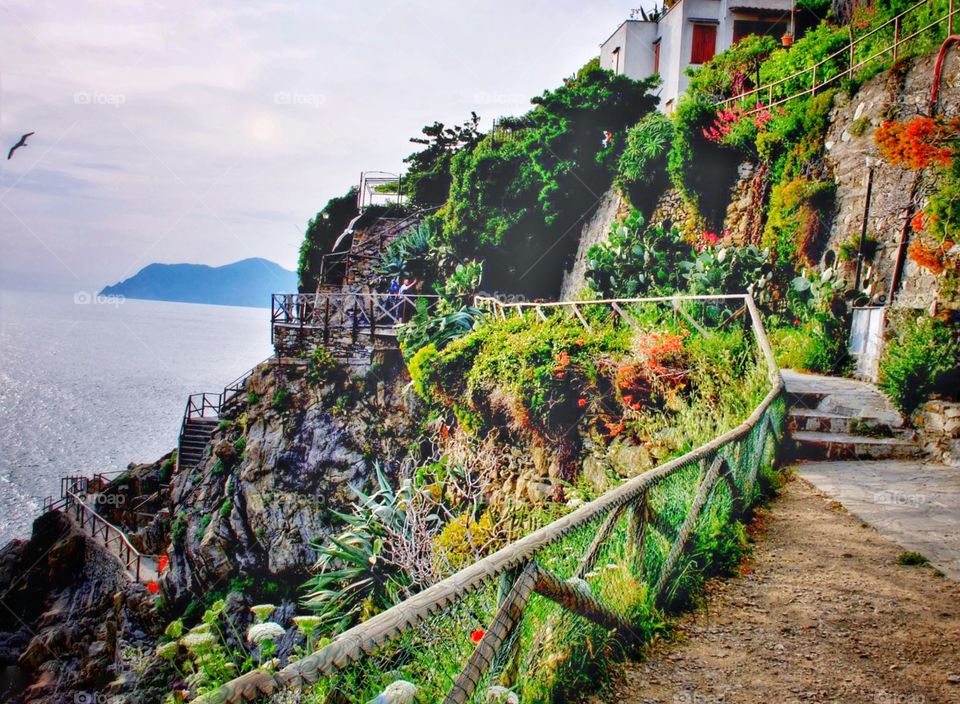 Pathways at the golden hour