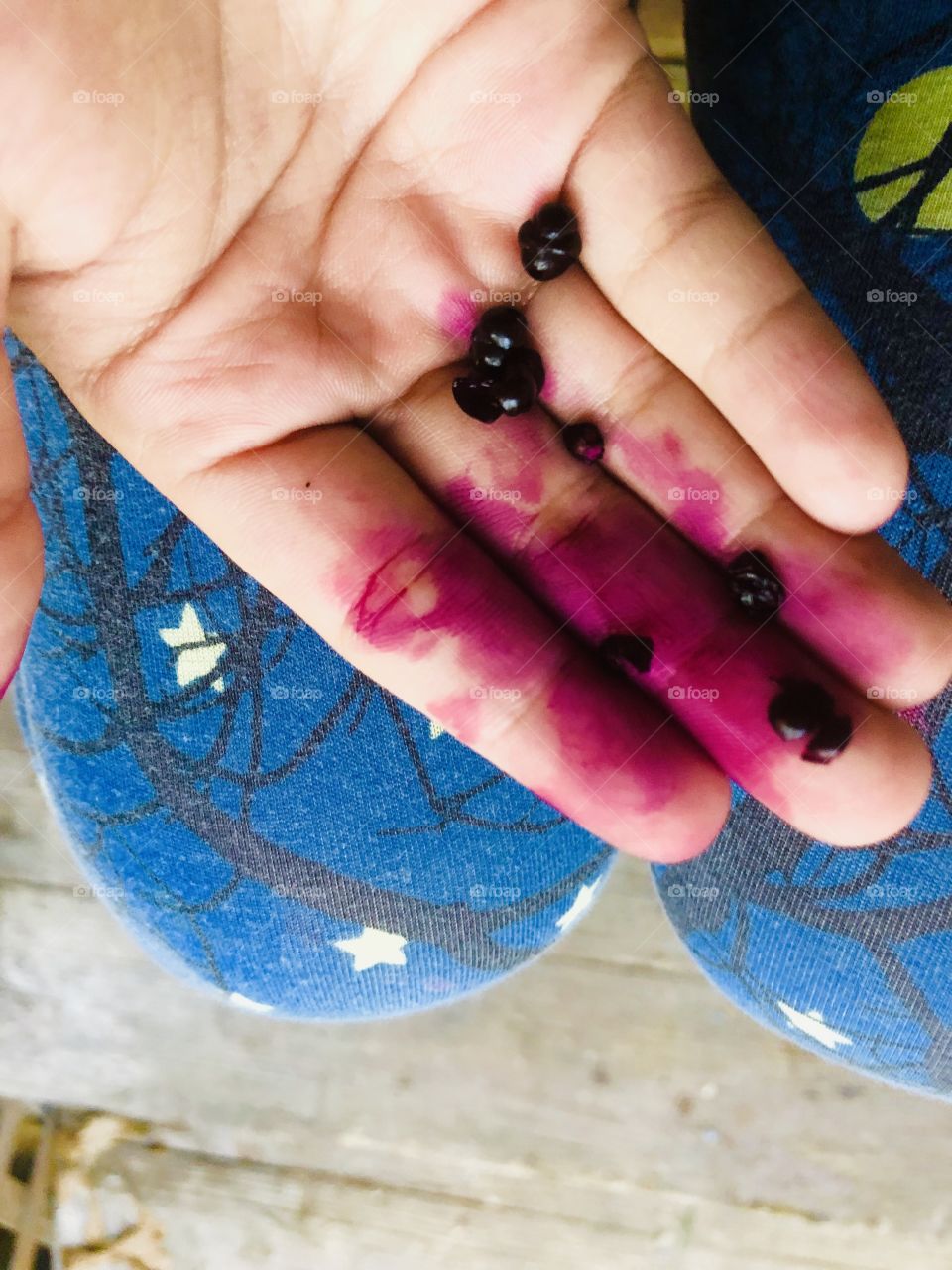 Malabar spinach berries vivid color