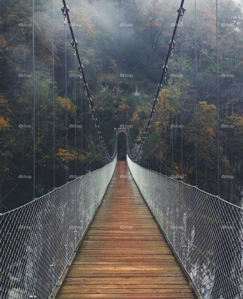 croosing to the other side the bridge of life