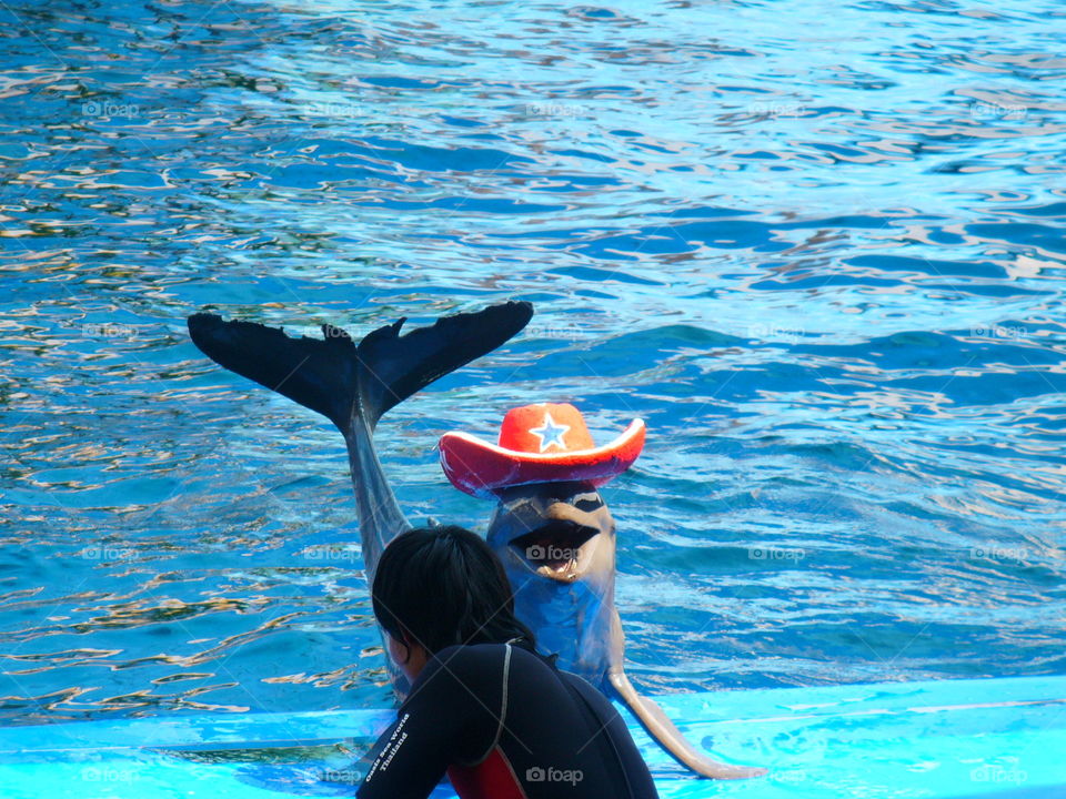 Swimming, Water, Leisure, Dug Out Pool, Sea