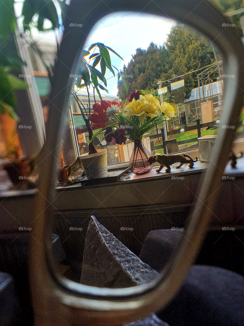 flowers through my glasses