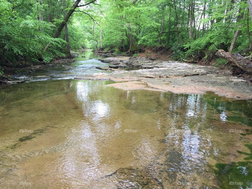 Macadoo creek Montgomery county Tennessee 