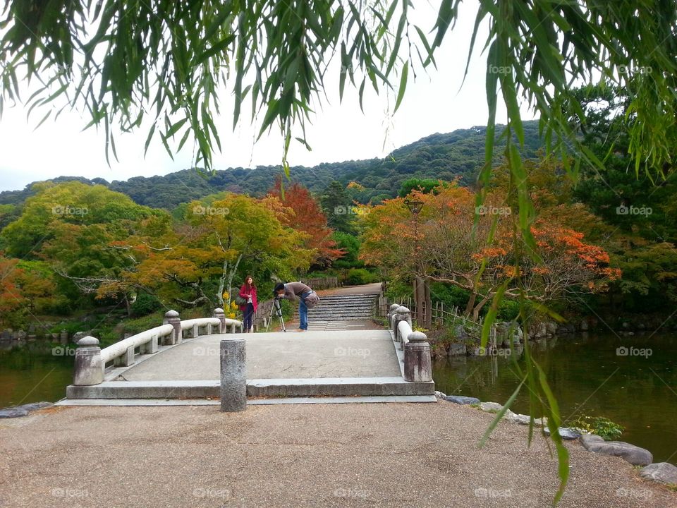 Photography in Maruyama Park