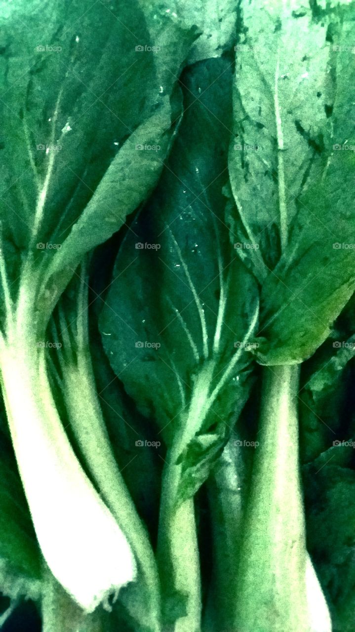 green vegetable