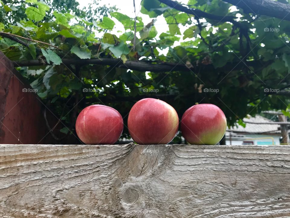 Three apples 🍎