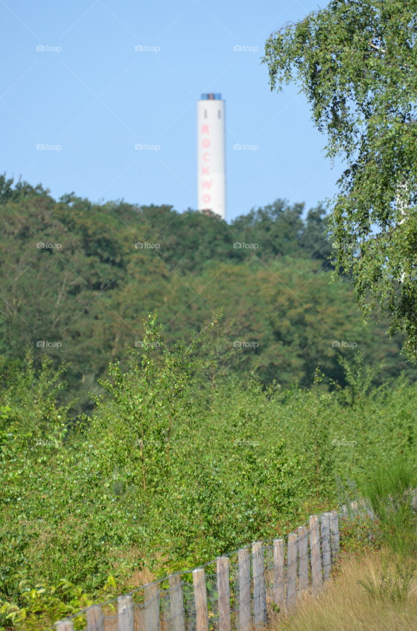 ROCKWOOL Chimney Over Trees.