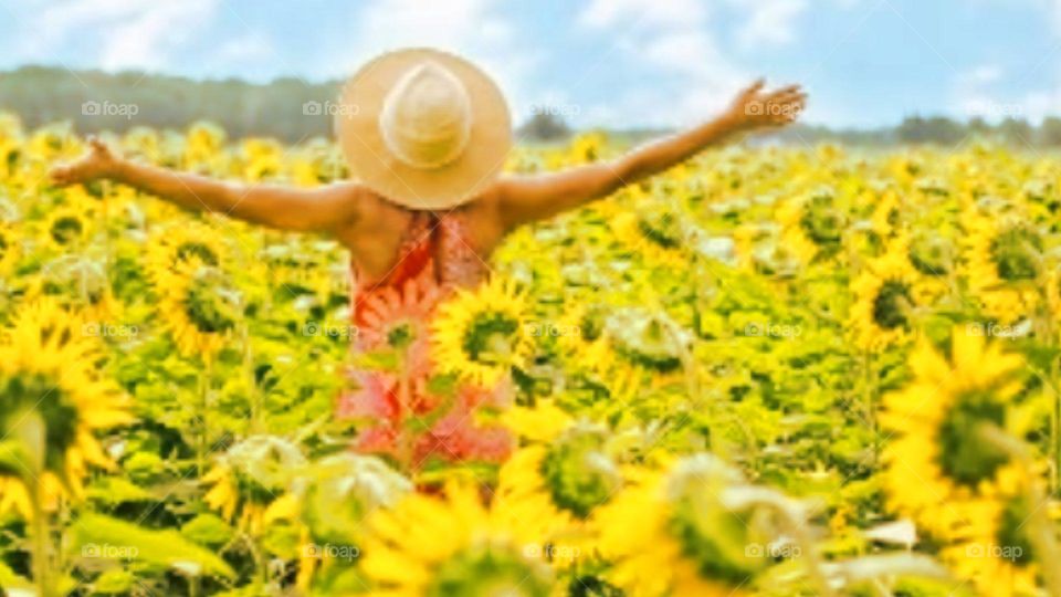 Enjoying In the garden of sunflowers
