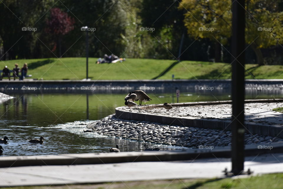 Public open spaces, good for community health