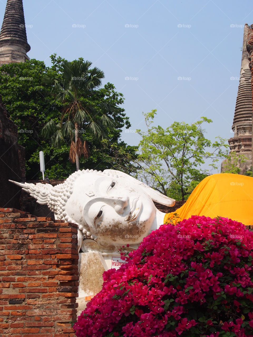 Ayutthaya buddha