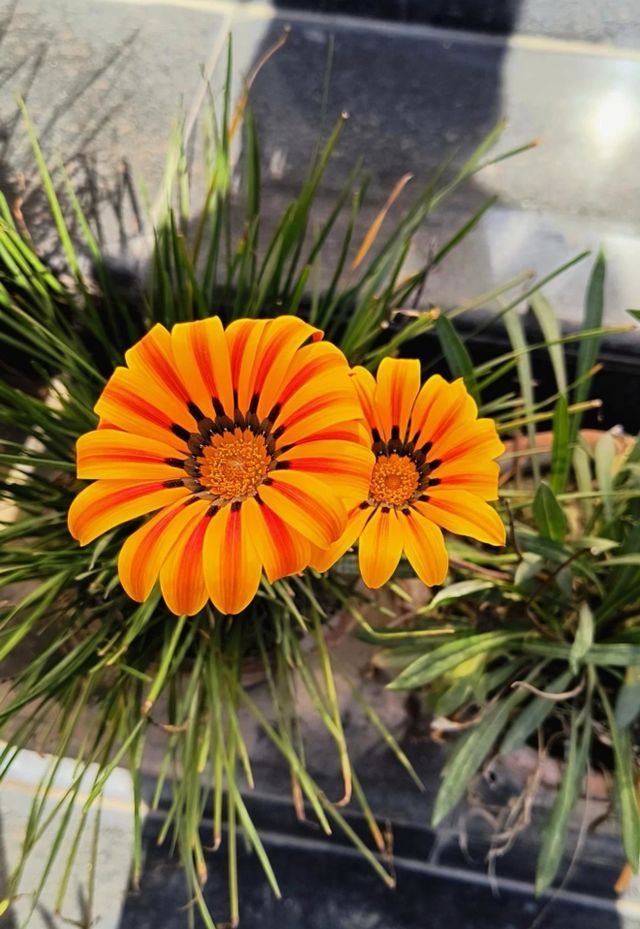 ♥️