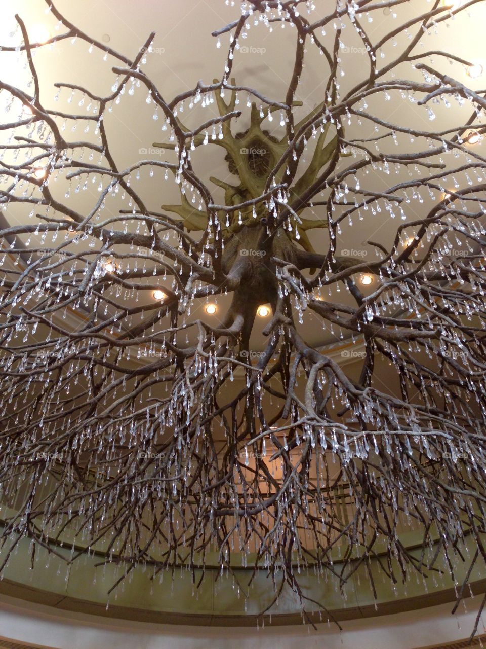 Icy Chandelier 