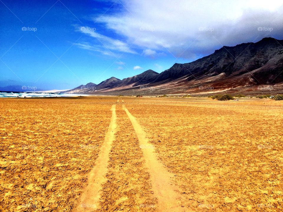 car tracks on the beach in the sand