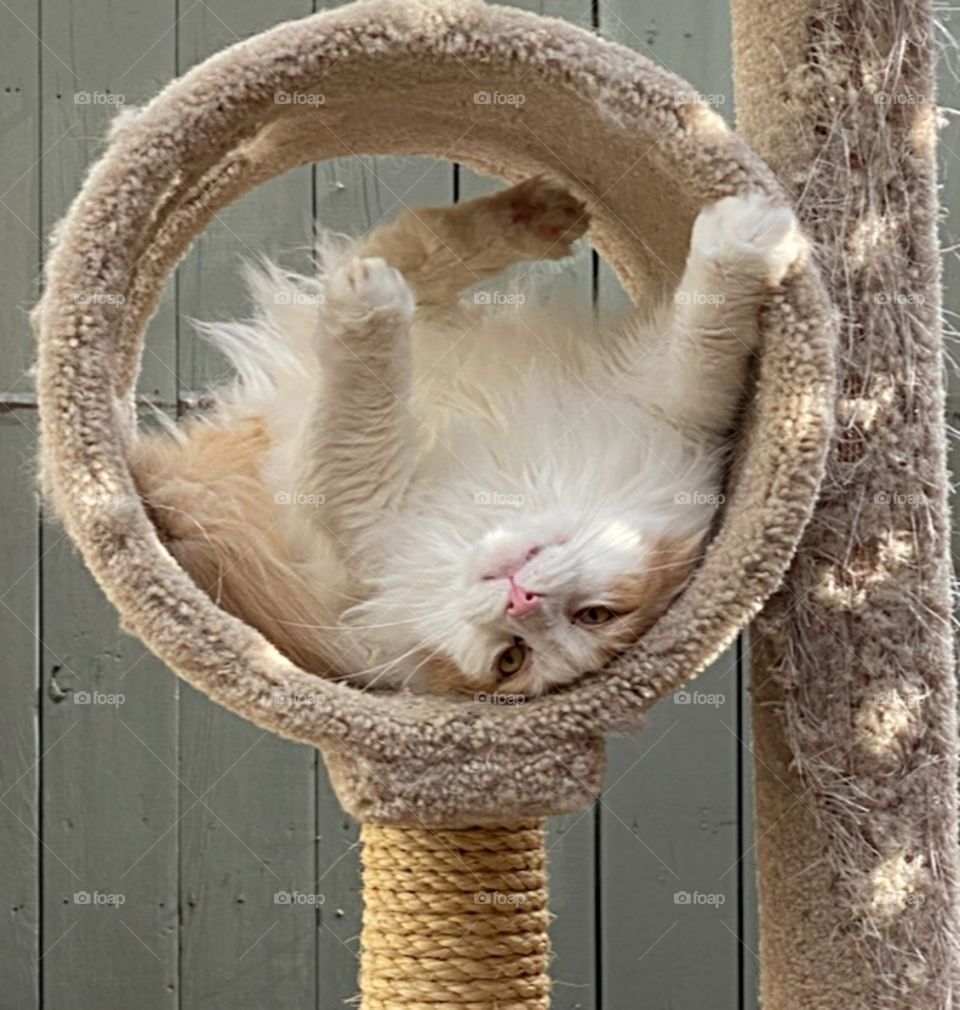 And how was your day?