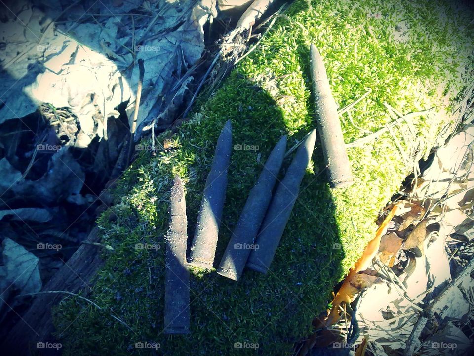 My hobby. Metal detecting, treasure hunting. Echoes of war (WW2). Dangerous finds