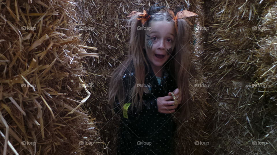 scared excited expression in the hay maze