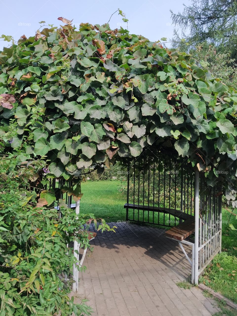 A place to relax in the park.